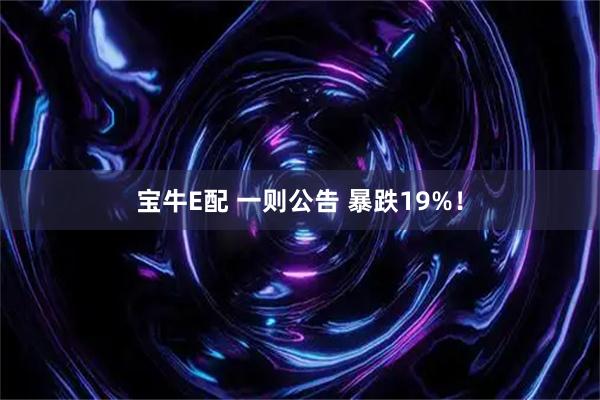 宝牛E配 一则公告 暴跌19%！