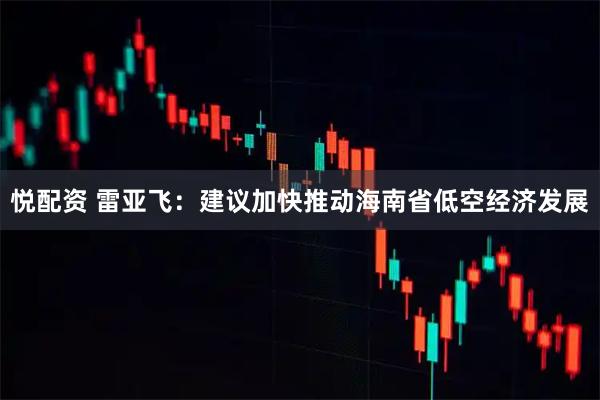 悦配资 雷亚飞：建议加快推动海南省低空经济发展