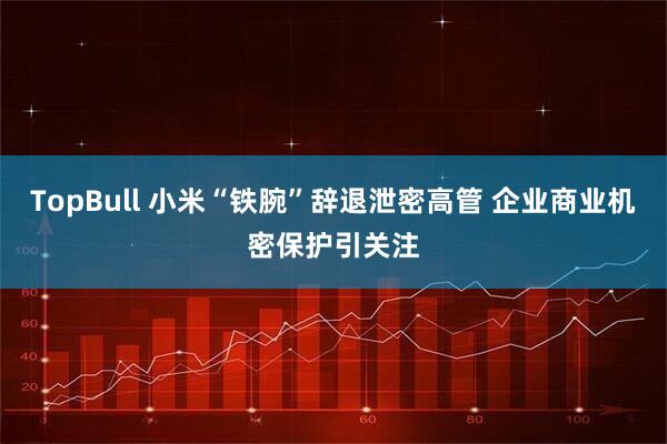 TopBull 小米“铁腕”辞退泄密高管 企业商业机密保护引关注