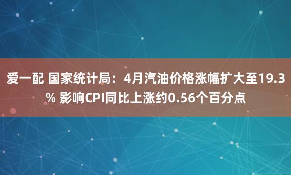 爱一配 国家统计局：4月汽油价格涨幅扩大至19.3% 影响CPI同比上涨约0.56个百分点