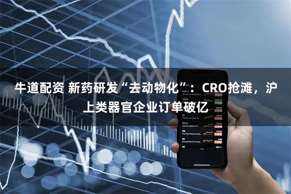 牛道配资 新药研发“去动物化”：CRO抢滩，沪上类器官企业订单破亿