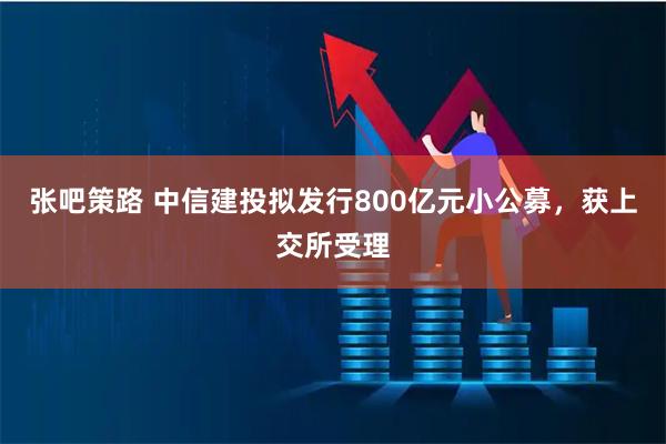 张吧策路 中信建投拟发行800亿元小公募，获上交所受理