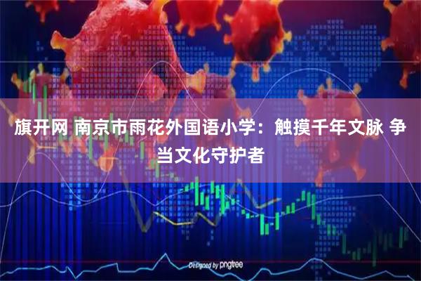 旗开网 南京市雨花外国语小学：触摸千年文脉 争当文化守护者