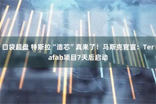 口袋超盘 特斯拉“造芯”真来了！马斯克官宣：Terafab项目7天后启动