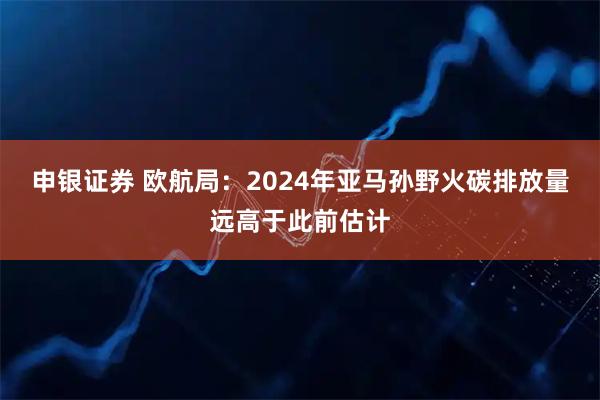 申银证券 欧航局：2024年亚马孙野火碳排放量远高于此前估计