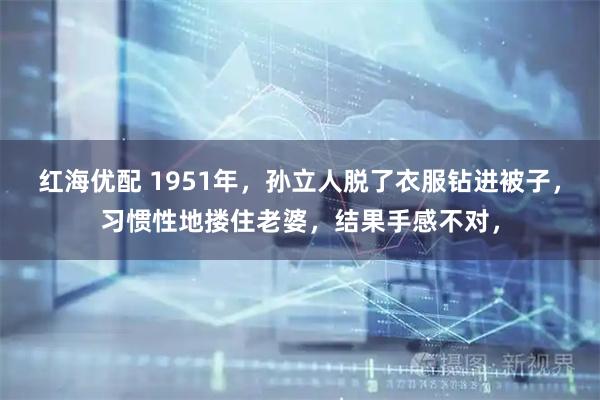 红海优配 1951年,孙立人脱了衣服钻进被子,习惯性地搂住老婆,结果手感不对,