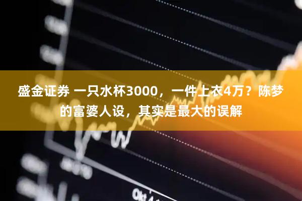 盛金证券 一只水杯3000，一件上衣4万？陈梦的富婆人设，其实是最大的误解