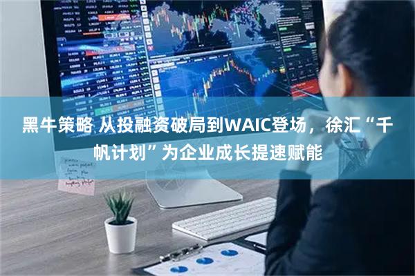 黑牛策略 从投融资破局到WAIC登场,徐汇“千帆计划”为企业成长提速赋能