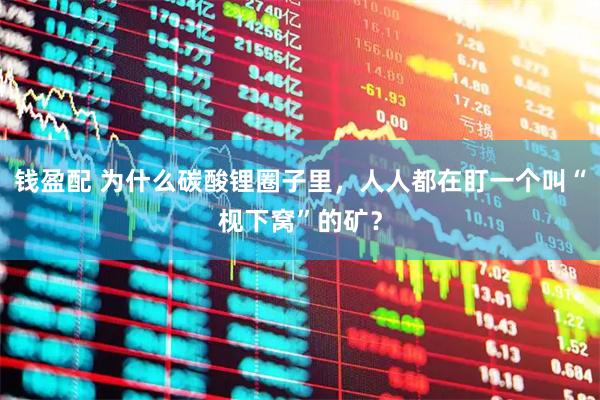 钱盈配 为什么碳酸锂圈子里，人人都在盯一个叫“枧下窝”的矿？