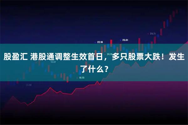 股盈汇 港股通调整生效首日，多只股票大跌！发生了什么？